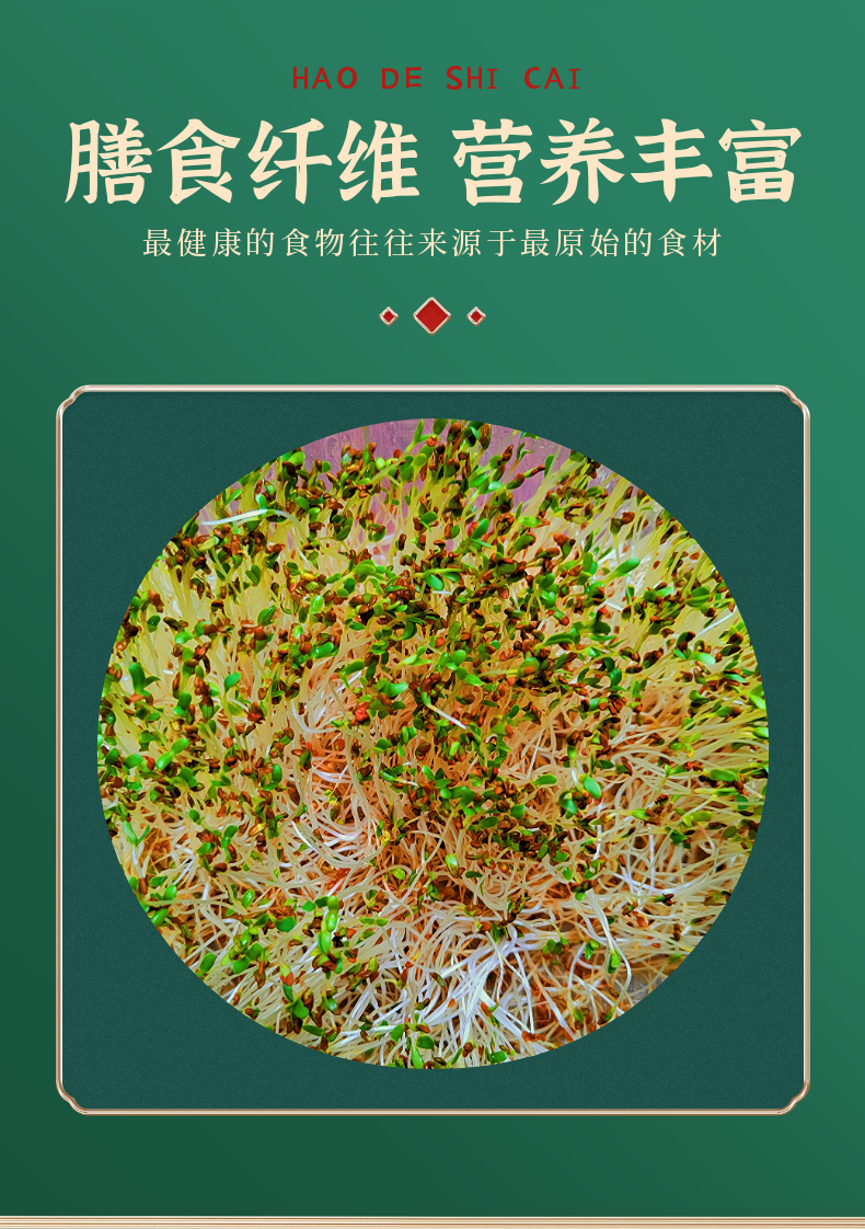 紫花苜蓿芽苗菜益生菌培养，富含膳食纤维