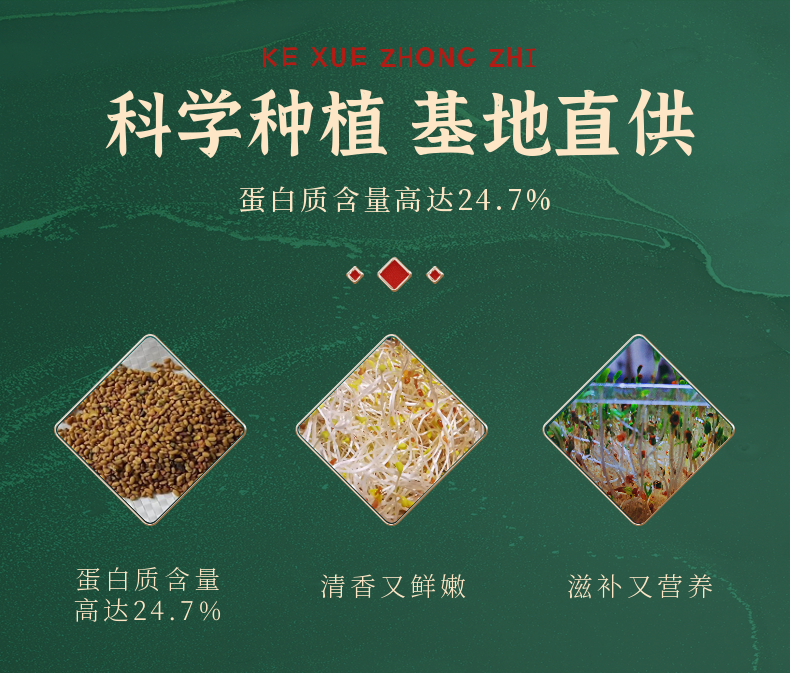 稿定设计-8.png